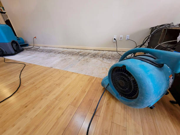 Professional Water Removal technician working in Mulino, OR